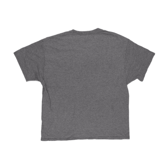 Champion Vintage Grey Cotton T-Shirt XL Crew Neck Casual Men's Clothing