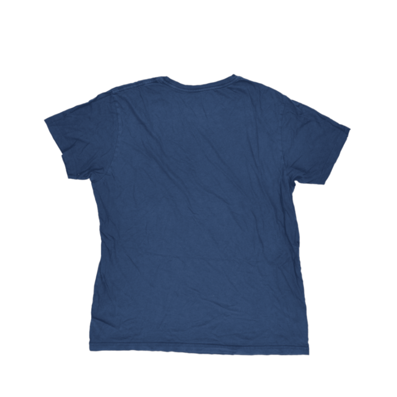 Patagonia Blue Organic Cotton T-Shirt Large Crew Neck Casual Men's Clothing