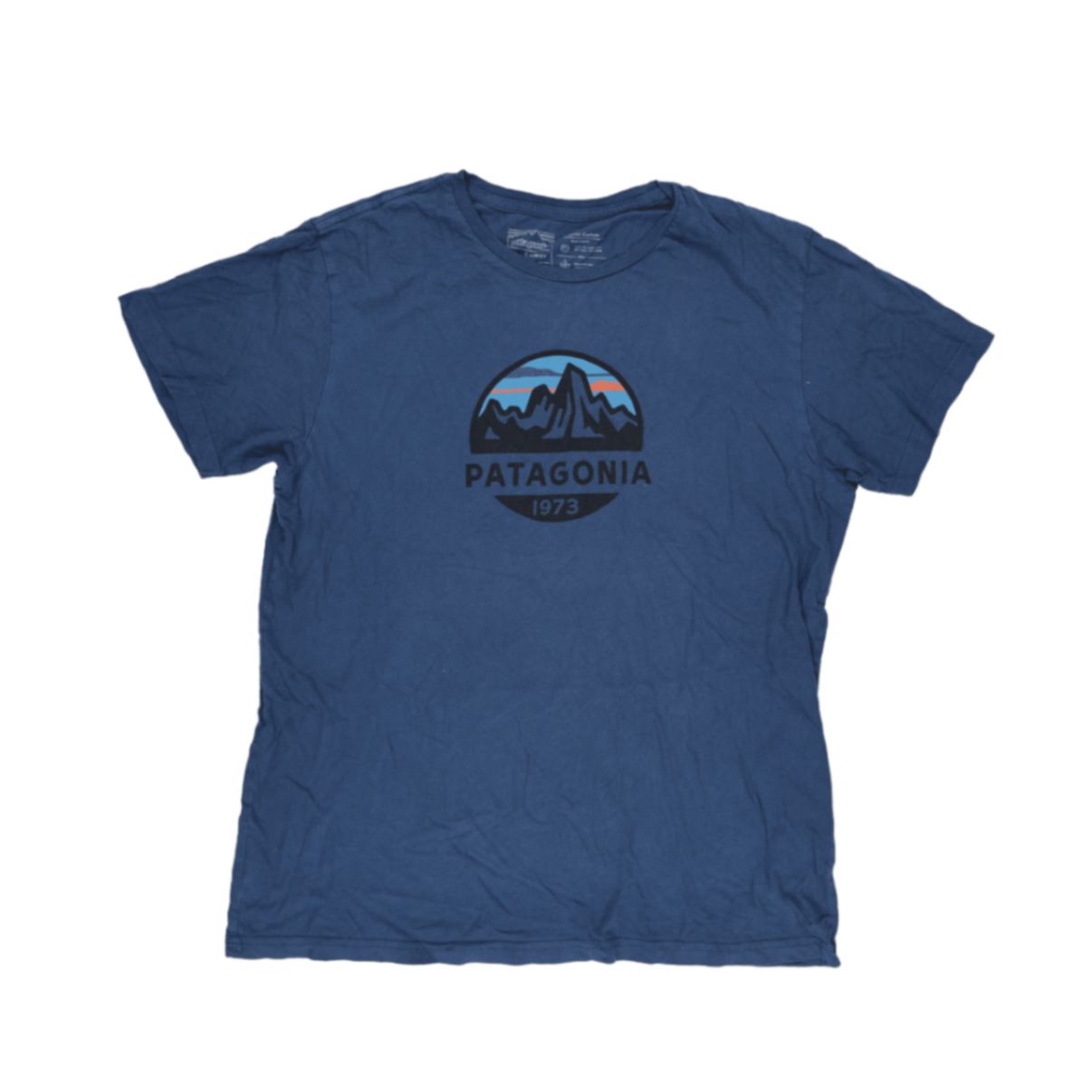 Patagonia Blue Organic Cotton T-Shirt Large Crew Neck Casual Men's Clothing