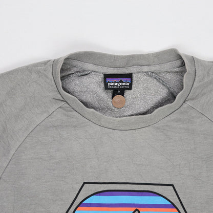 Patagonia Organic Cotton Grey T-Shirt Men Medium Casual Crew Neck